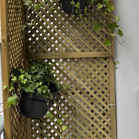 Calliope Apartment